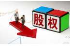 股权知识全解析：定义、权利、侵权救济与诉